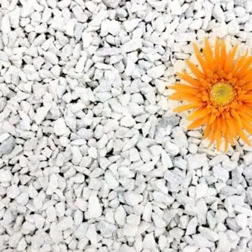 Hvit Edelsplitt
