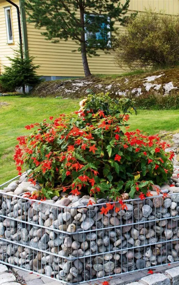 gabion-med-blomster gabion med blomster